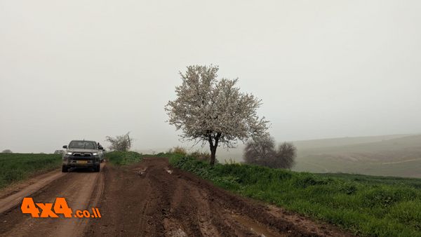 1771266744474