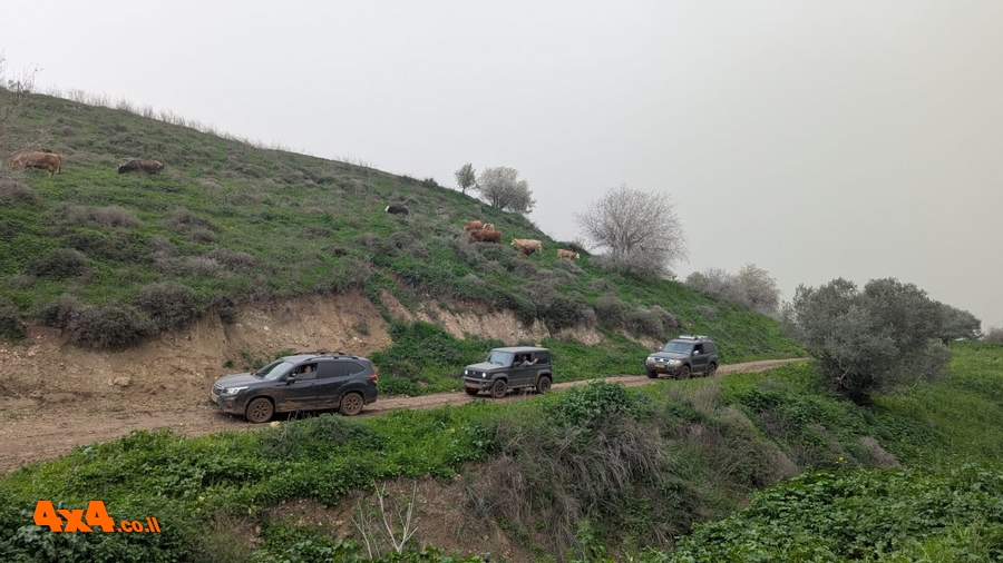 שטח 4X4 - יומני מסע בארץ - טיולים ומסעות בארץ