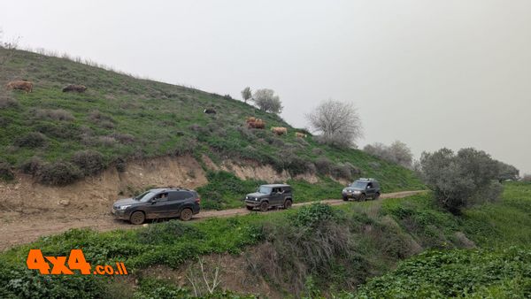סיכום טיול ג'יפים סובב נחל תבור - 14/2/26