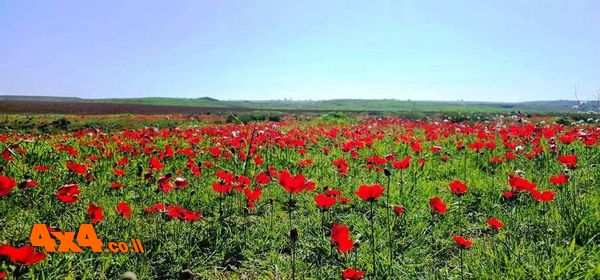 סיכום טיול ג'יפים לנגב המערבי - דרום בלב, פברואר 2026