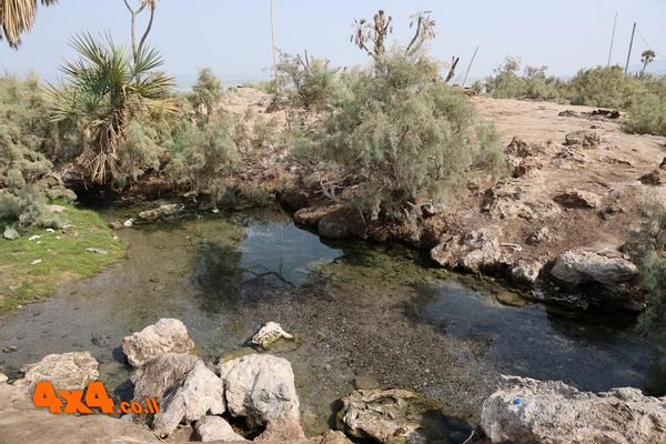 1773598094240