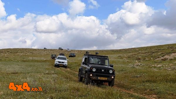 האם שופט חייב לקחת בחשבון שטעותו עלולה למוטט מבוטח נזקק?