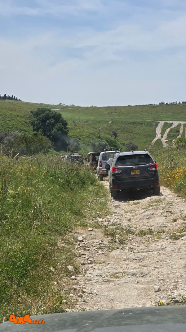 1777397619350
