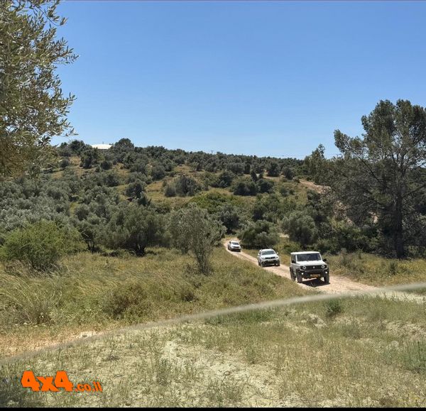 תרגיל מסכם