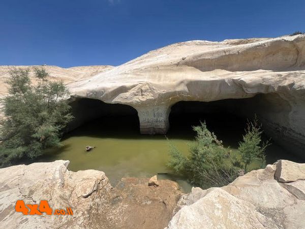 בורות ציפרים
