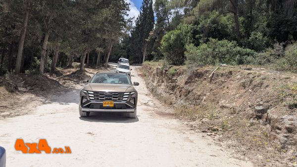 סיכום טיול ג'יפים ביער עופר והר חורשן - 16/5/26