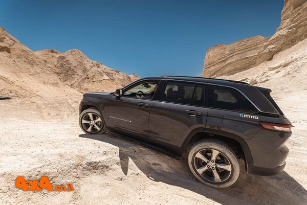 1781082281393