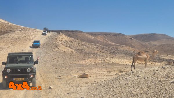 סיכום טיול ג'יפים אתגרי מערד לים המלח -  27/6/2026 