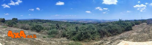1783877220609