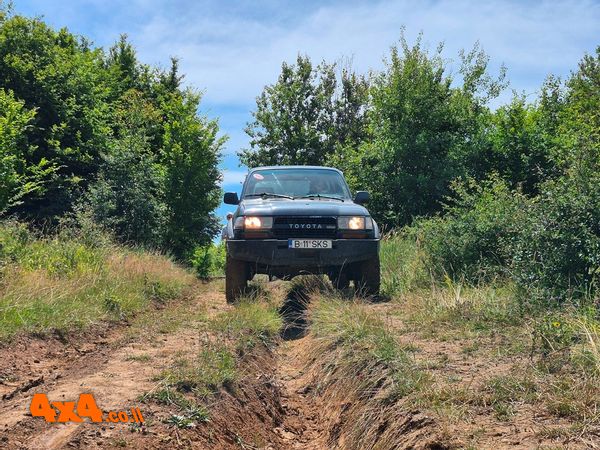 1785155660697