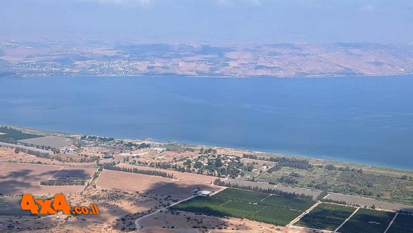 נפגש ב טיולים הבאי