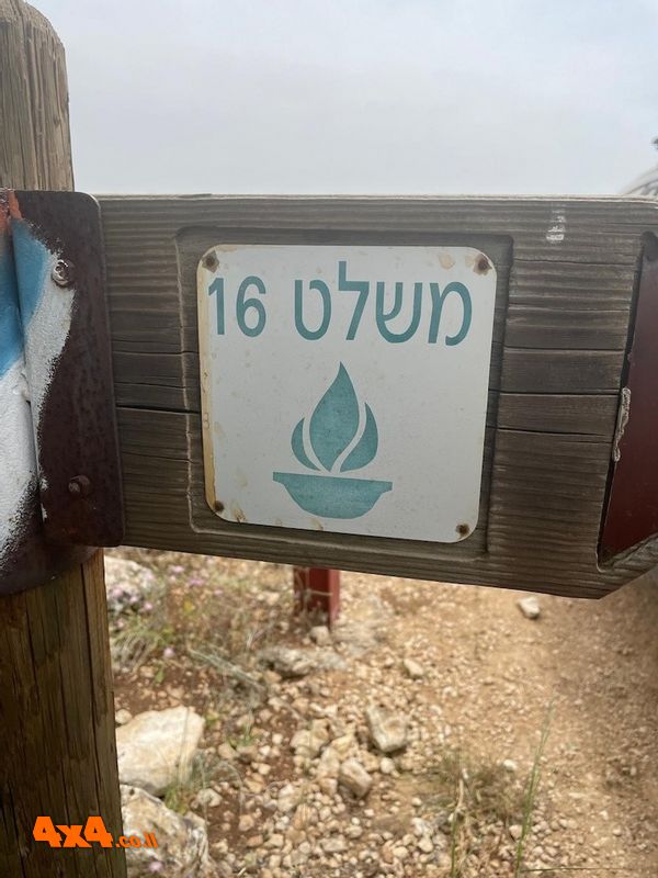 1787389785065