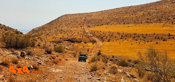 השיירה בציר קרדיולוג