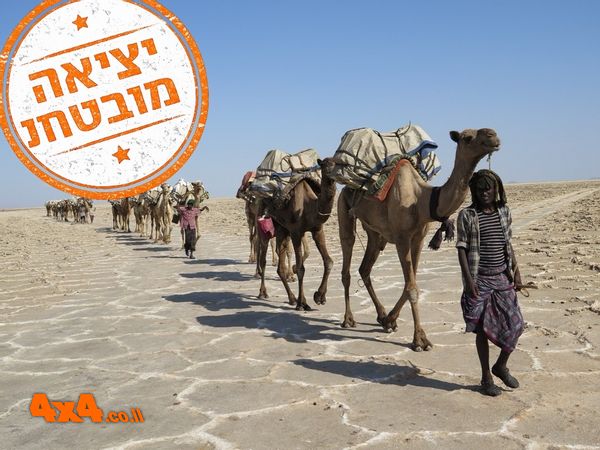 אתיופיה - מדבר דנקיל והר הגעש ארטה-אלה 2026