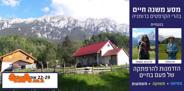 מסע משנה חיים בהרי הקרפטים - רומניה