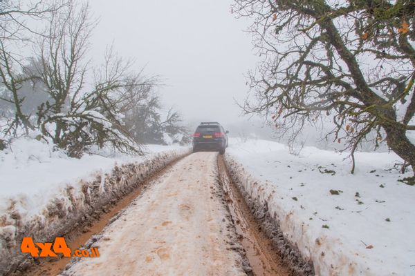 טיול שלג ספונטני בצפון רמת הגולן - למהירי החלטה