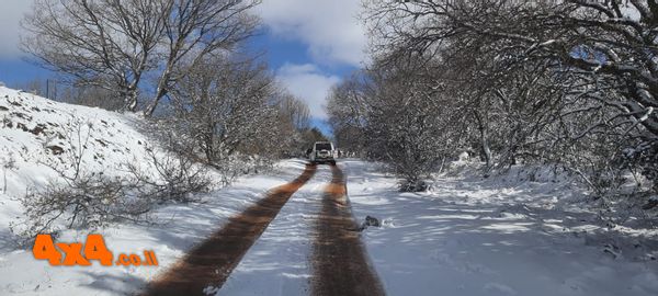 טיול שלג ספונטני בצפון רמת הגולן - למהירי החלטה 