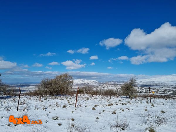 טיול שלג ספונטני בצפון רמת הגולן - למהירי החלטה 