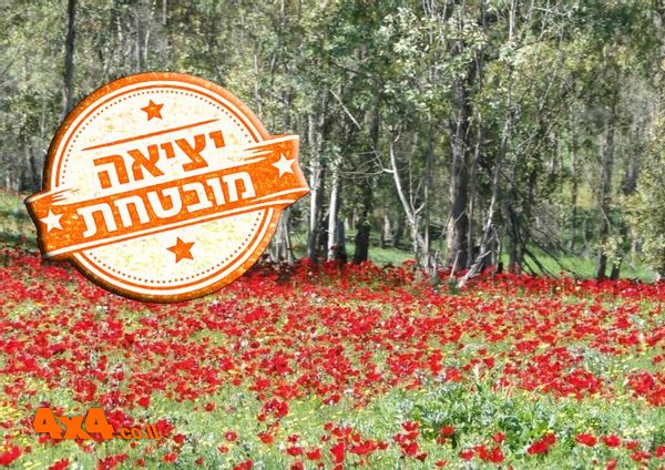 אדום בלב - טיול ג'יפים בחבל הבשור 
