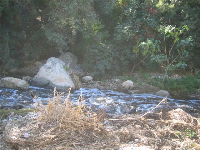 פורום: תמונות מהטיול של ה-1/12 להרי ירושלים