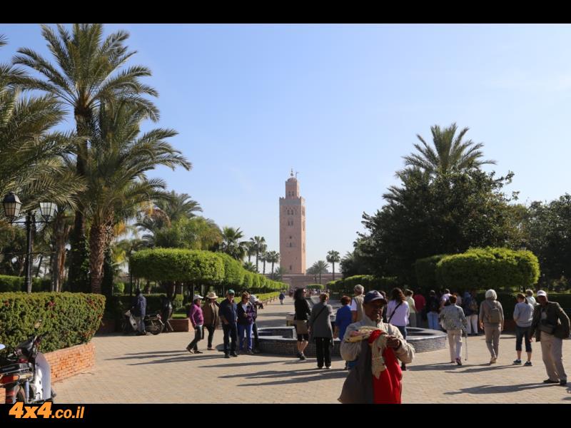 תמונות מהיום השמיני במרוקו - מרקש ביום