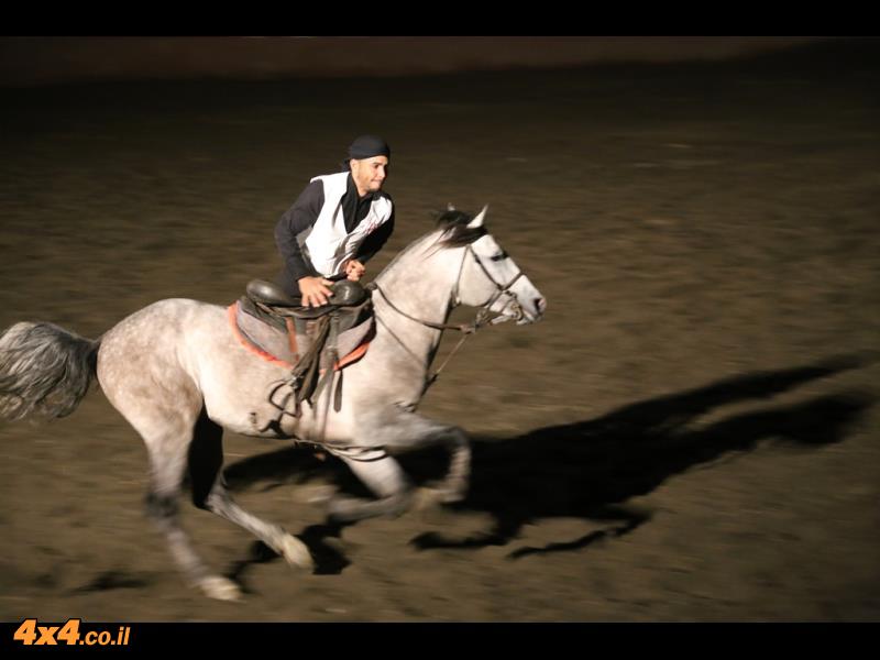 פנטזיה - מופע סוסים רכובים על-ידי הברברים
