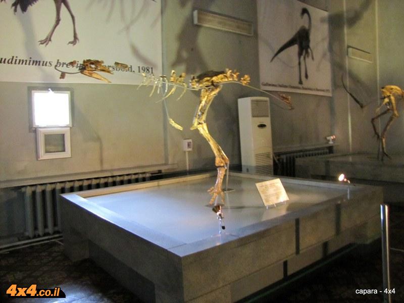 מוזיאון הטבע והדינוזאורים של מונגוליה