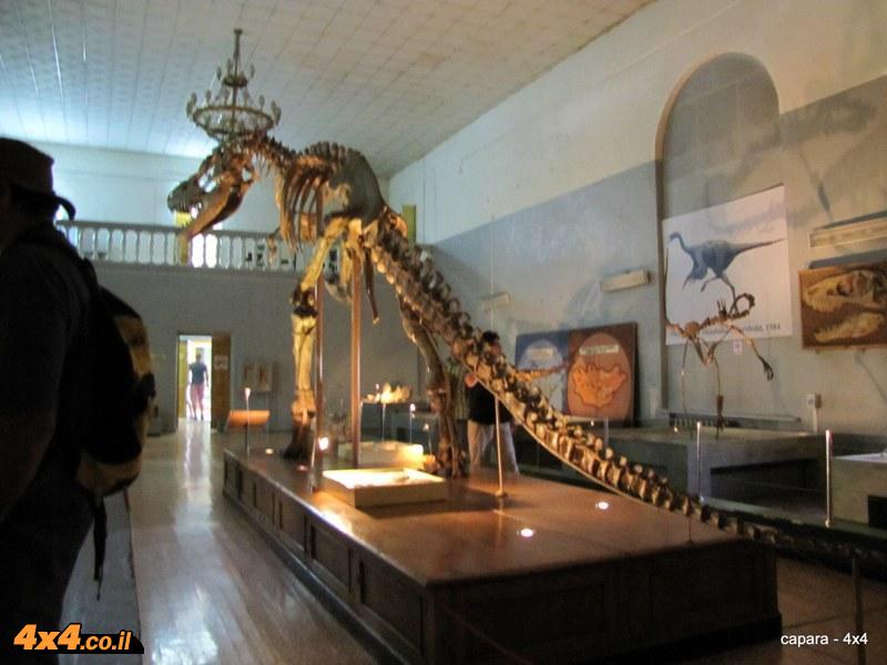 מוזיאון הטבע והדינוזאורים של מונגוליה