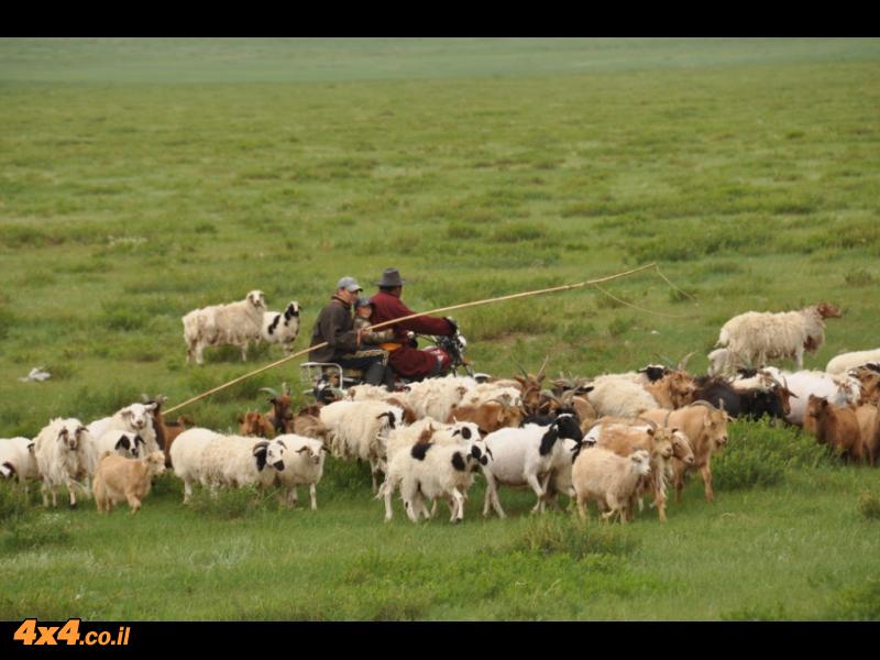 תמונות היום השביעי: מטפסים לחלק ההרי והירוק של מונגוליה