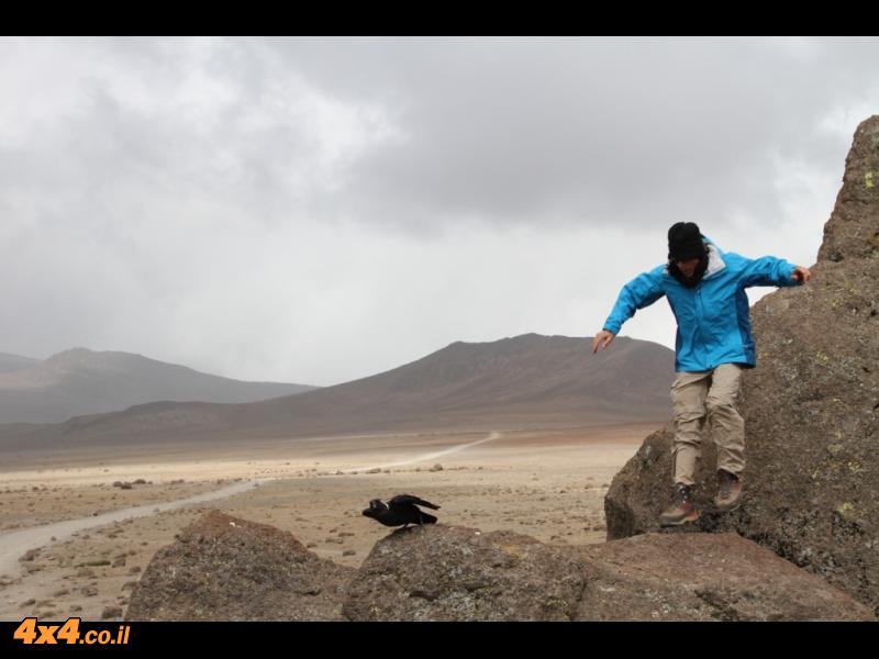 היום השלישי: מהורומבו לבקתת האבן העליונה - קיבו 4,700 מטרים