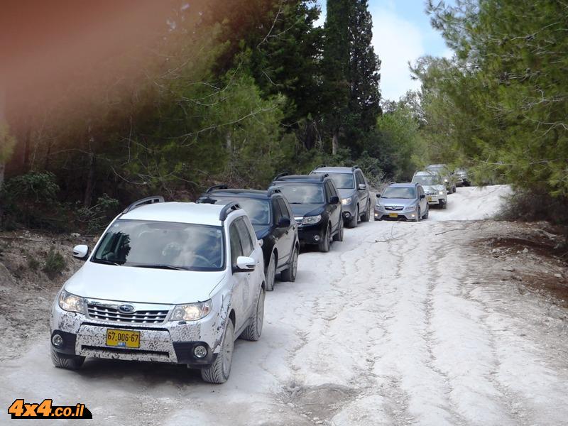 שיירת הרכבים מטיילת בשבילים בהר חורשן