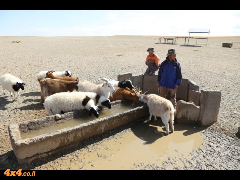 תמונות מהיום הרביעי למסע במונגוליה