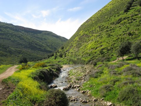 טיול ג'יפים לנשים בצפון - טלי לפיד - 27/03/09