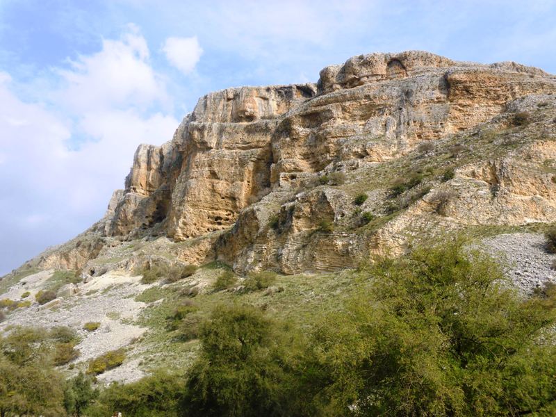 טיול מעכברה לצפת ועד השלג במרום גולן - יחיאל דניאל - 12/01/13