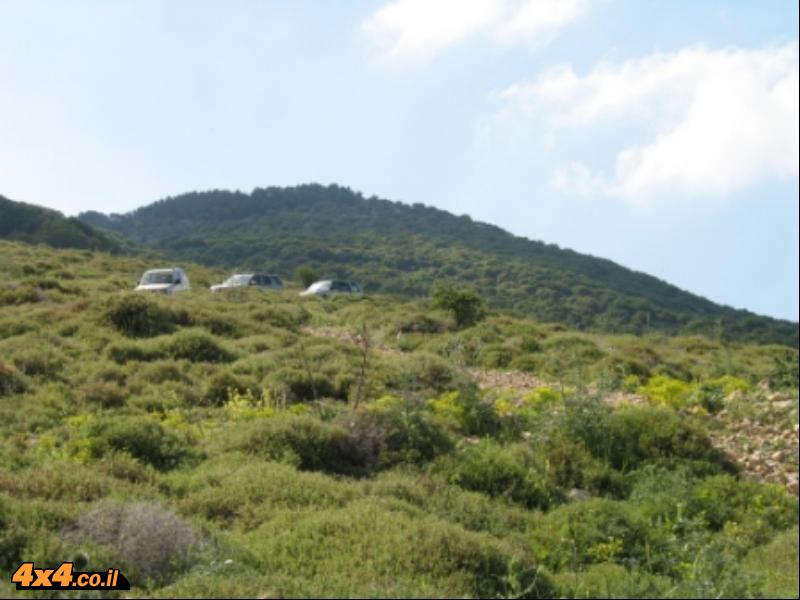 קצרצרים: יערות הכרמל וגבעות טלימון - טוביה רינדה - 08/06/13