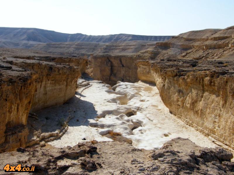 מסע בין גבים בעקבות ''סופת האביב'' - עדי וייזל - 17/05/14