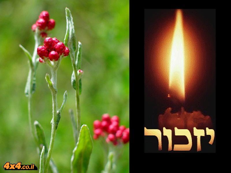 סיור מיוחד ליום הזיכרון - 28/04/17