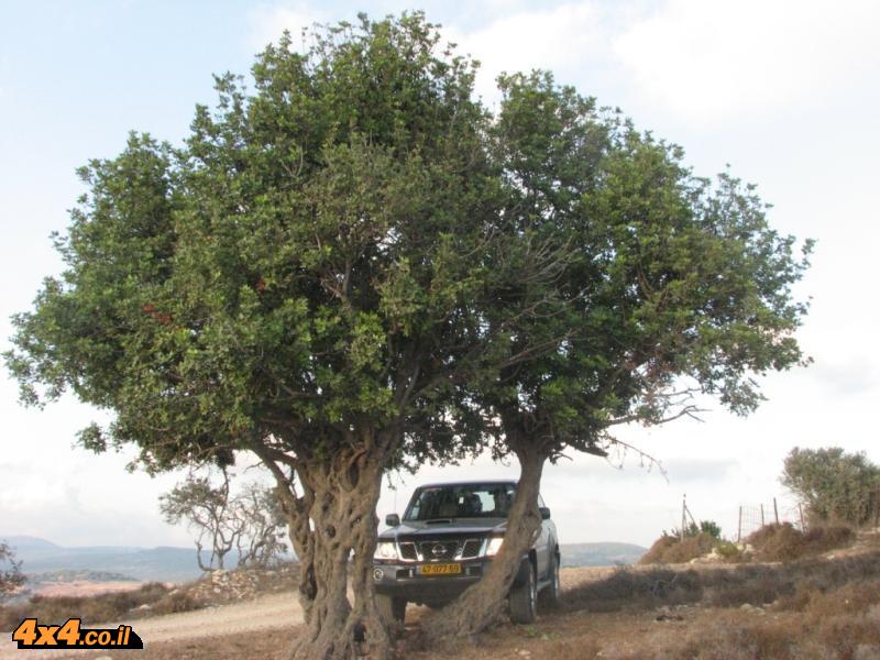 טיול אמצע השבוע הגליל המערבי - עופר אדר - 08/06/15