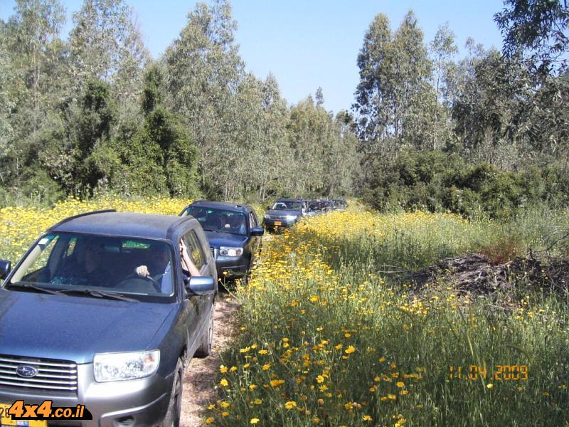טיול בגלבוע ובכרמל - צבילי הראל - 26/05/12