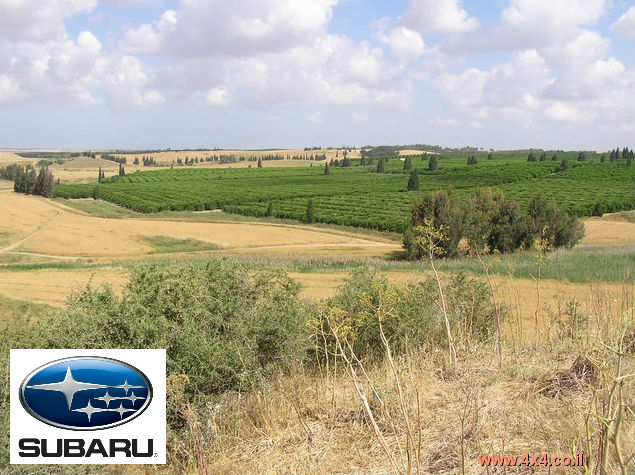 טיול מועדון סובארו לארץ הביתרונות ומרבדי פריחה - רני פלג - 16/04/11