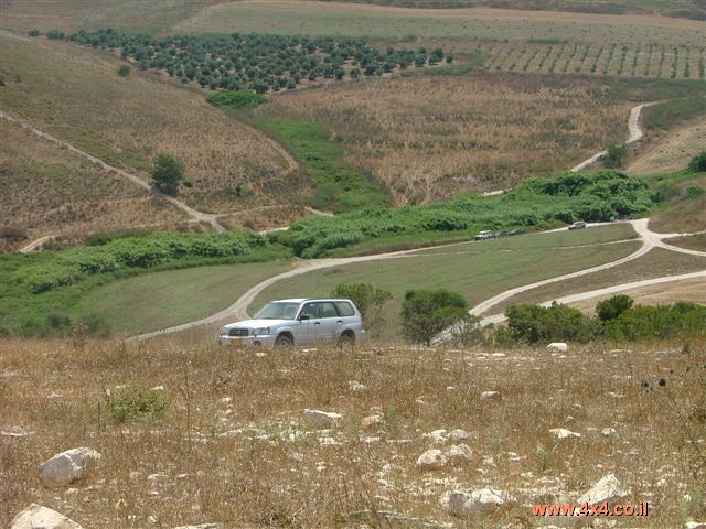 שמורת נחל קיני ויער מגידו - טוביה רינדה - 25/02/11