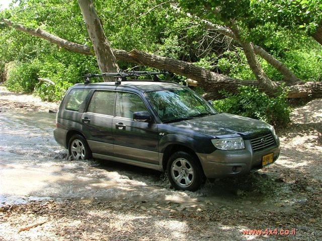 מעיינות נחלים ובוץ ברמות מנשה - טוביה רינדה - 05/03/11