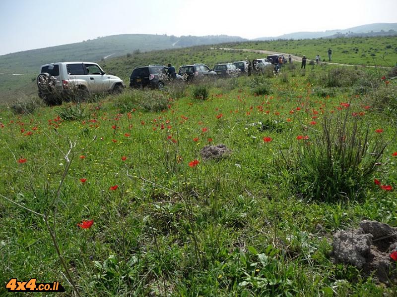 חוצה מים ופריחות ברמות מנשה, שמורת אלונה והר חורשן - טוביה רינדה - 19/03/11
