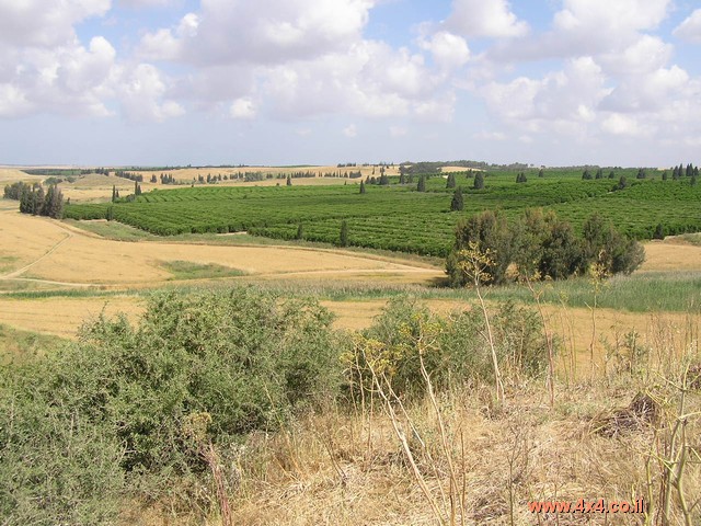 טיולי אמצע השבוע עם עופר אדר - 01/11/10